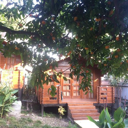 Cottage house New Athos Luaran gambar