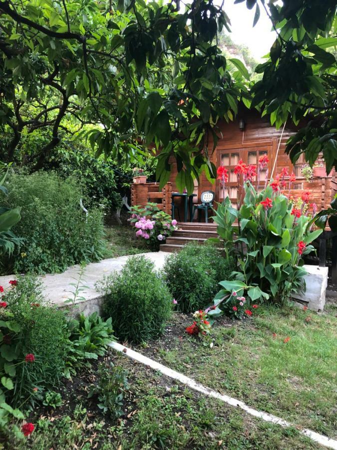 Cottage house New Athos Luaran gambar